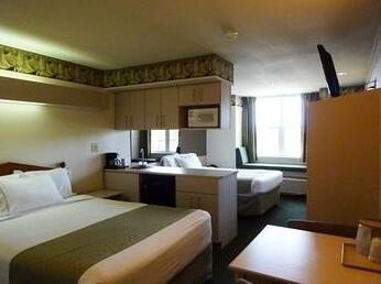Microtel Inn & Suites Fort Worth South - Photo5