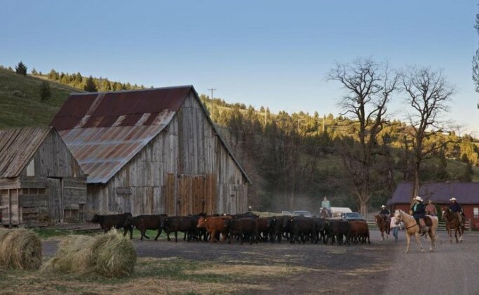 Wilson Ranches Retreat - Photo5
