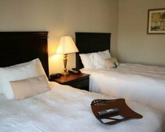 Hampton Inn & Suites Galveston - Photo5