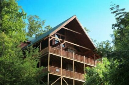 Above It All 4 Bedrooms 4 5 Bathrooms Cabin