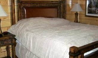 White Oak -2 Bedroom Cabin - GBC 93537 - Photo3