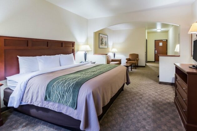 Comfort Inn & Suites near Comanche Peak - Photo2