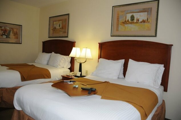Holiday Inn Express Hotel & Suites Dallas - Grand Prairie I-20 - Photo5