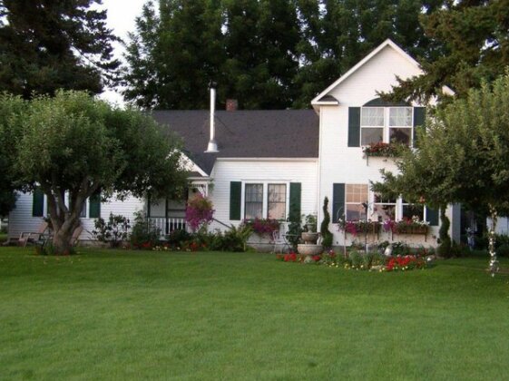 Cozy Rose Inn - Photo2