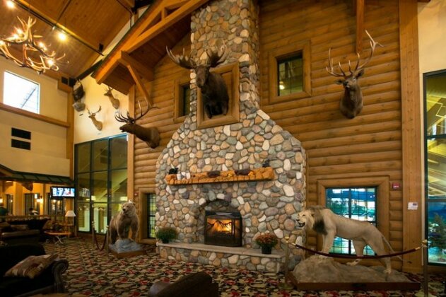 Tundra Lodge - Photo3