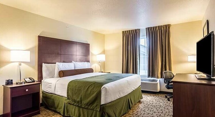 Cobblestone Hotel & Suites - Greenville - Photo3