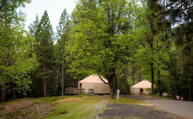 Yosemite Lakes Hillside Yurt 12 - Photo4