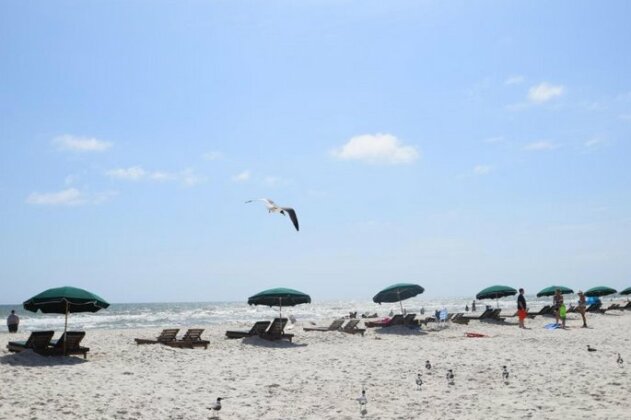 Beachview 309 - Photo3