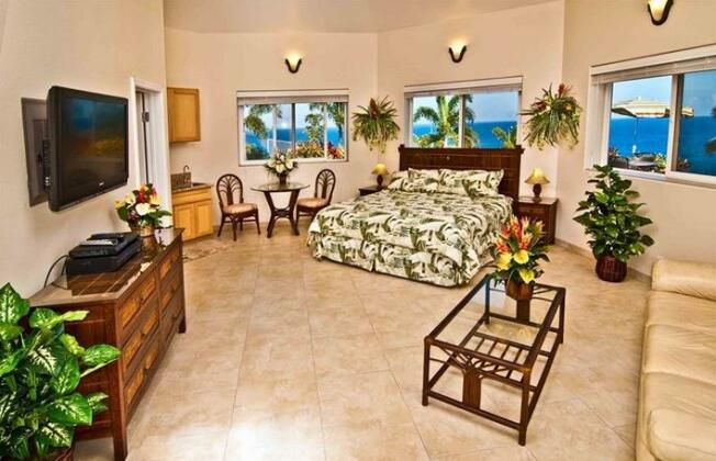 Lai Nani Oceanfront Estate - Photo5