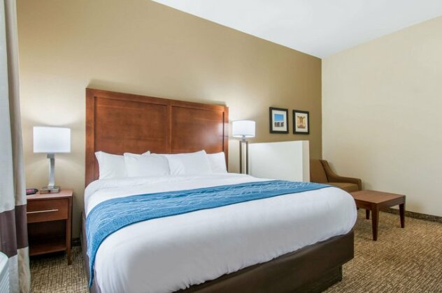 Comfort Inn & Suites Harrisburg - Hershey West - Photo2