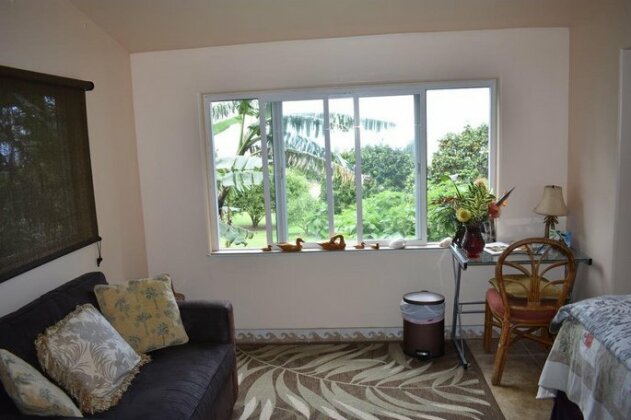 Aloha Cottage - Photo3