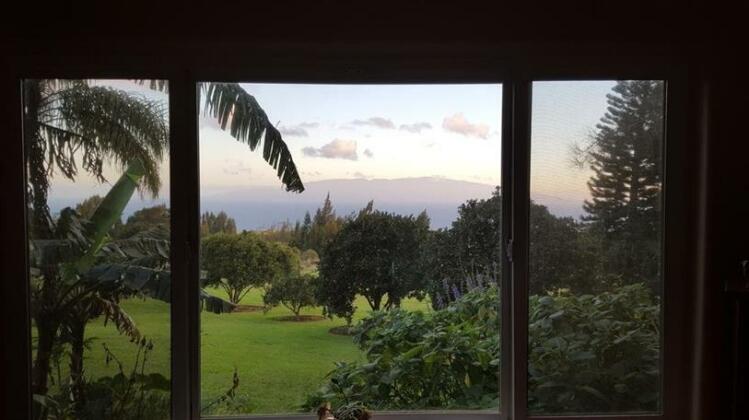 Aloha Cottage - Photo5