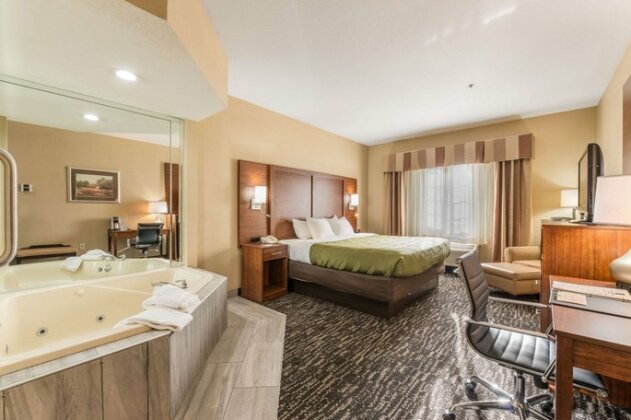 Quality Inn & Suites Flat Rock - Photo3
