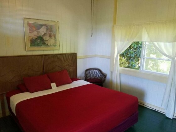 Wild Ginger Inn Hotel & Hostel - Photo2