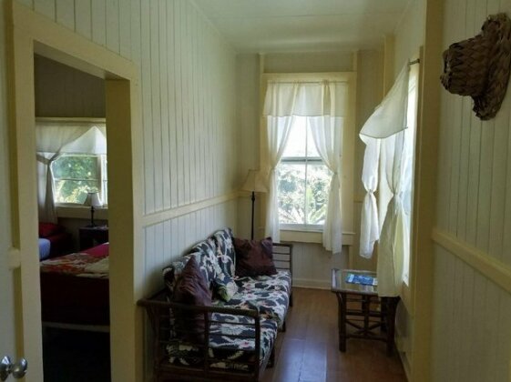 Wild Ginger Inn Hotel & Hostel - Photo3