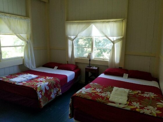 Wild Ginger Inn Hotel & Hostel - Photo4