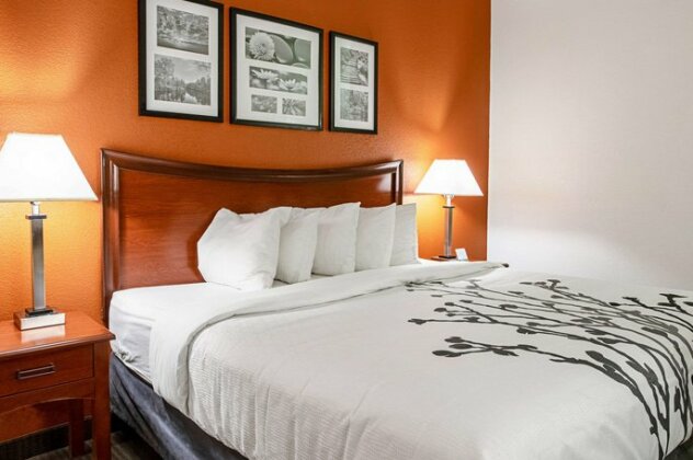 Sleep Inn & Suites Hobbs - Photo2