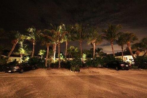 Palm Tree Villas - Photo4