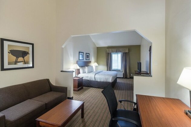 Quality Inn & Suites West Chase - Photo5