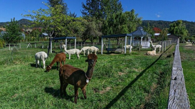 Rellik House Winery and Alpaca Farm - Photo5