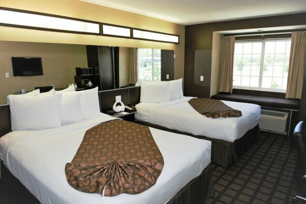 Microtel Inn & Suites by Wyndham Jacksonville Airport - Photo3