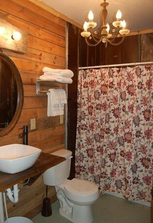 The Cabins at Healing Springs - Photo3