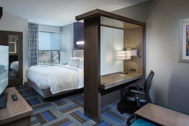SpringHill Suites by Marriott Houston Hwy 290/NW Cypress - Photo4