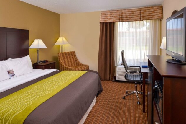 Comfort Inn and Suites Joplin - Photo2
