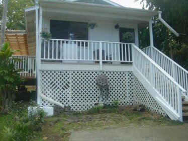 Green Lions Vacation Rental