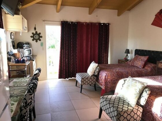 Nice Studio with AC near Kehena Kapoho - Photo3