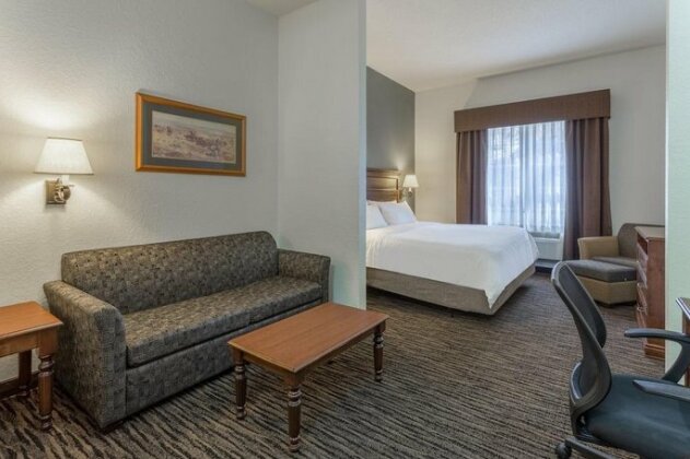 Holiday Inn Express & Suites Mt Rushmore - Photo3