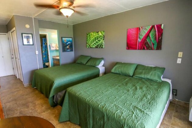 Maui Banyan P-403 - Two Bedroom - Photo3