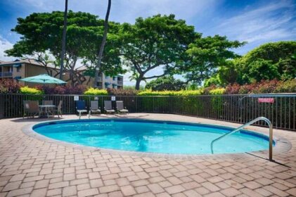 Maui Vista 1210 - One-Bedroom Renovated Condo 3 Pools