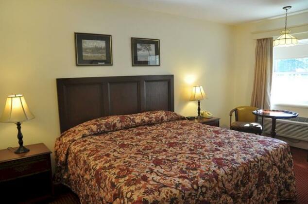 Blue Spruce Inn & Suites - Photo3