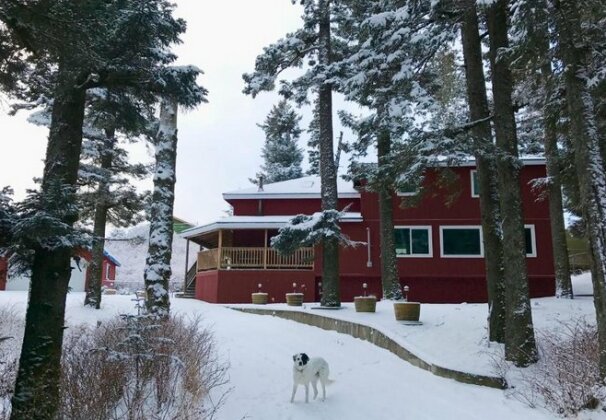 Goldilocks Bed & Breakfast - Photo2