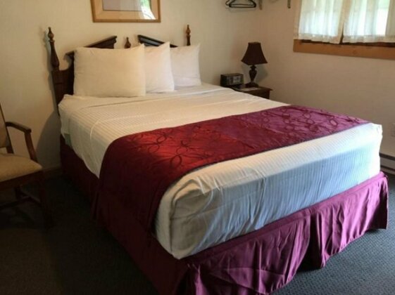 Adirondack Oasis Motel - Photo2