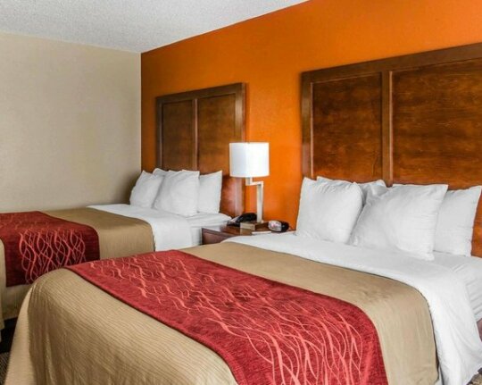 Comfort Inn & Suites Lakeland - Photo2