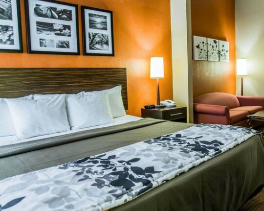 Sleep Inn & Suites Lakeland - Photo2