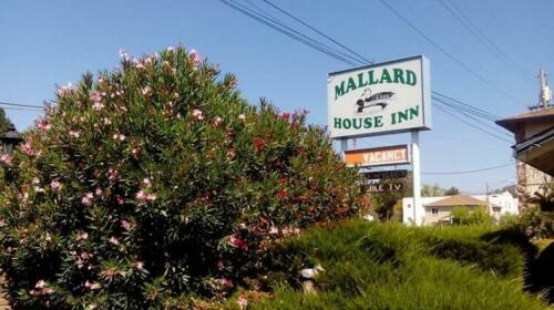 The Mallard House Inn