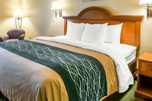 Comfort Inn & Suites Las Cruces - Photo5