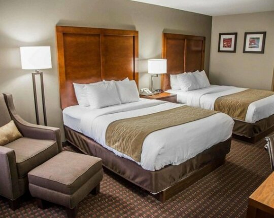 Comfort Inn & Suites Riverview - Photo2