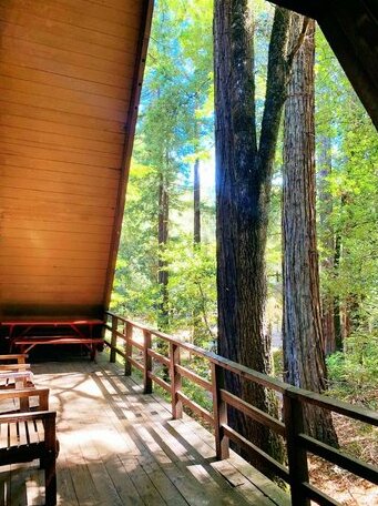 Redwoods River Resort - Photo4