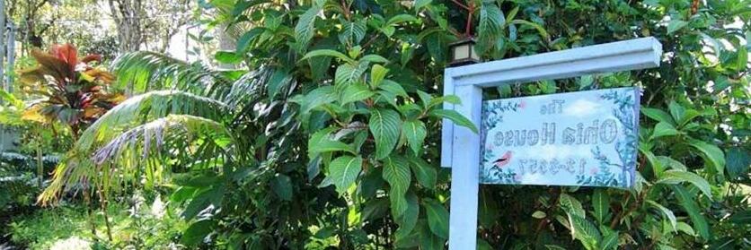 Ohia House Bed and Breakfast - Photo2