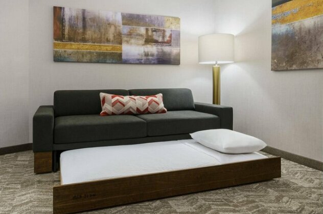 SpringHill Suites by Marriott Philadelphia West Chester/Exton - Photo2