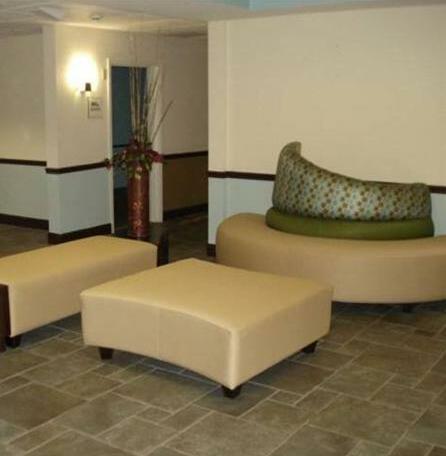 Holiday Inn Express & Suites - Locust Grove - Photo4