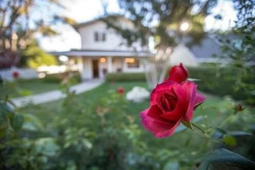 Corks and Roses Holiday home - Photo2