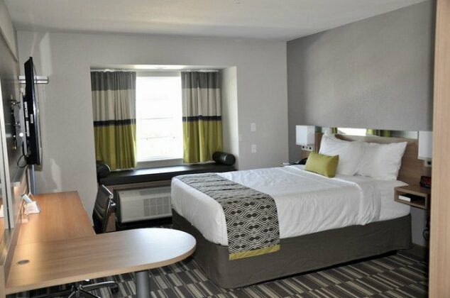 Microtel Inn and Suites by Wyndham Lubbock - Photo2