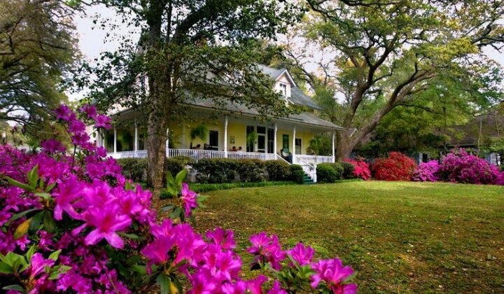 Magnolia Springs Bed and Breakfast - Photo2