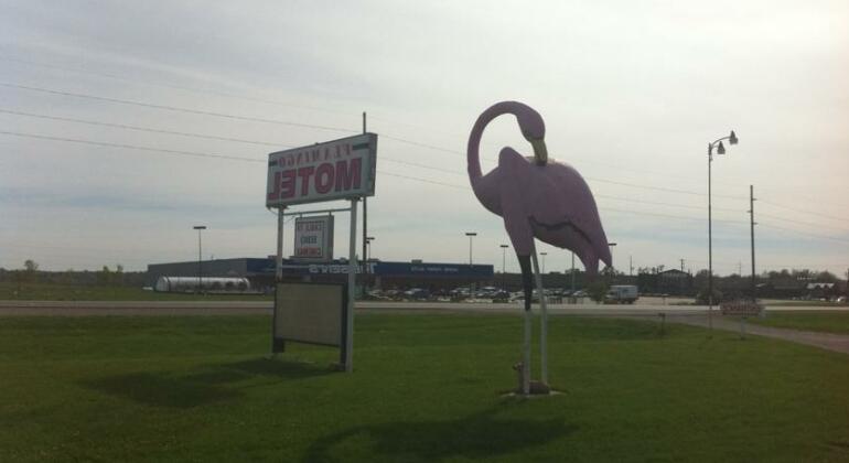 Flamingo Motel Marshalltown - Photo3