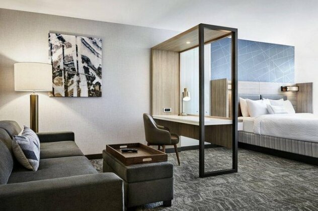 SpringHill Suites by Marriott Dallas McKinney